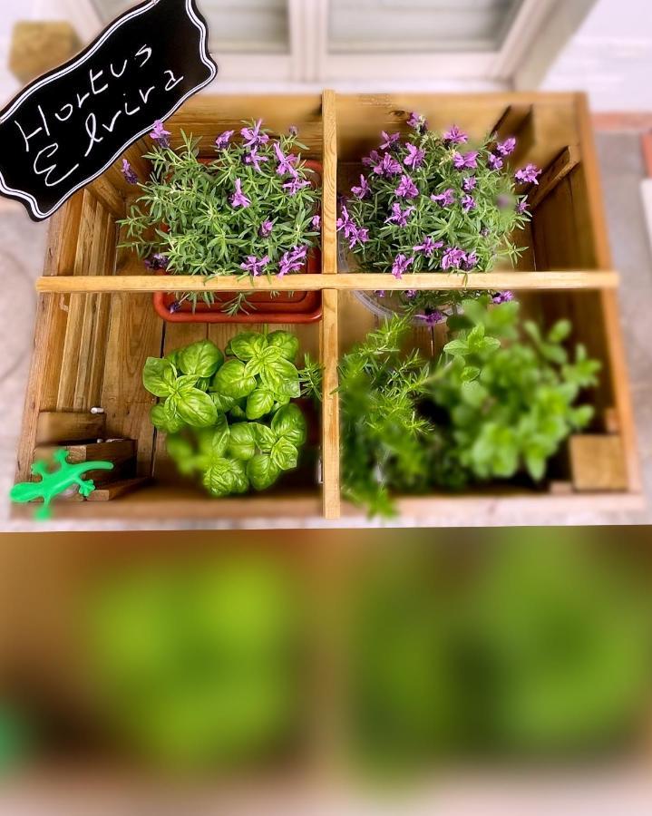 Sky And Green Luxury Apartament ボスコレアーレ エクステリア 写真
