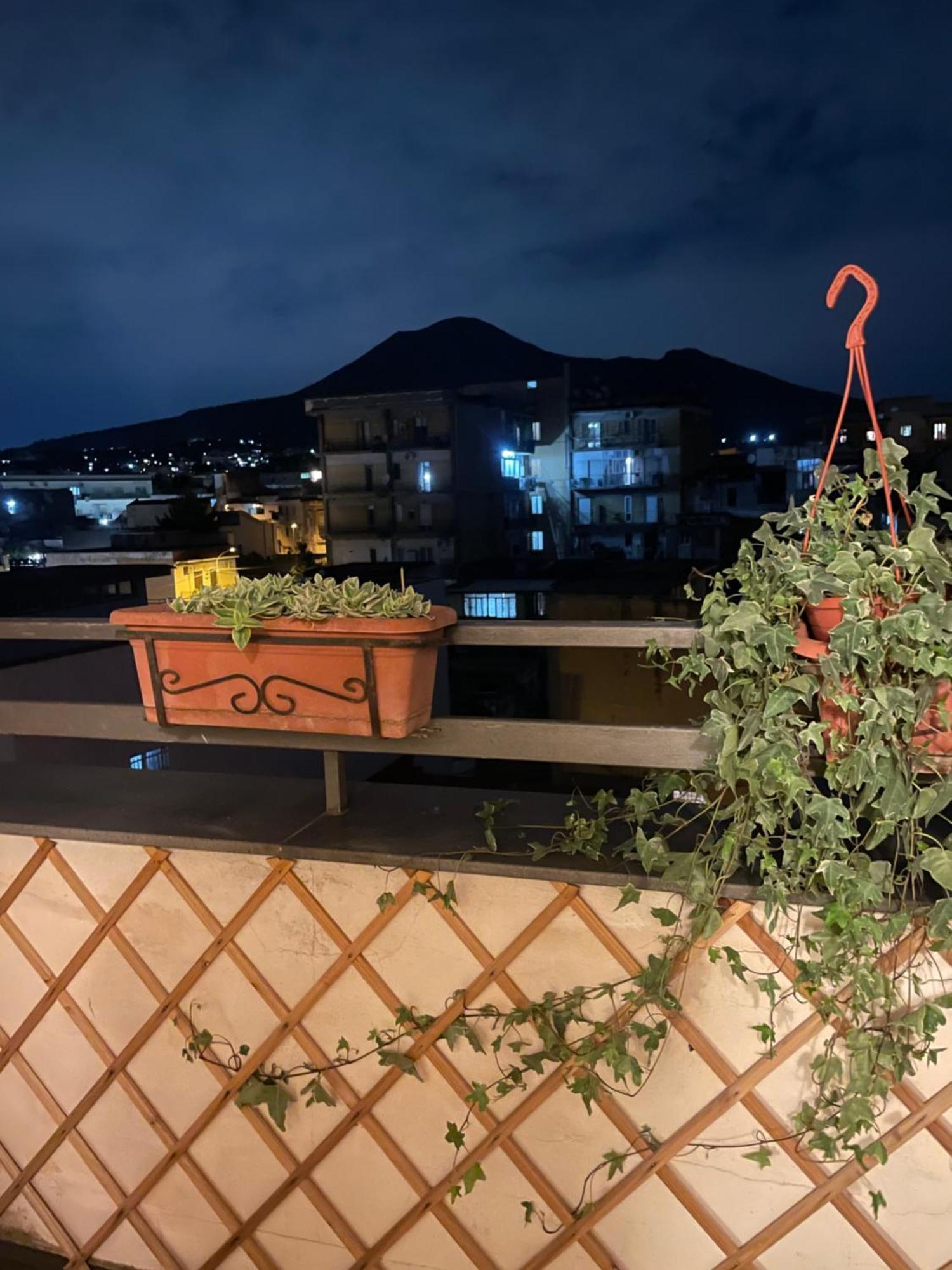 Sky And Green Luxury Apartament ボスコレアーレ エクステリア 写真
